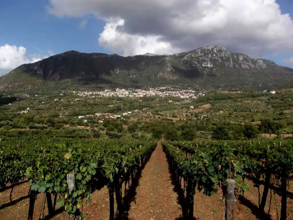 frasso-telesino Panorama di Frasso Telesino con il borgo medievale